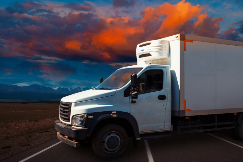 грузовые перевозки Дания